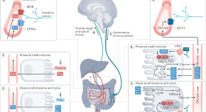 gastroenterology new research topics