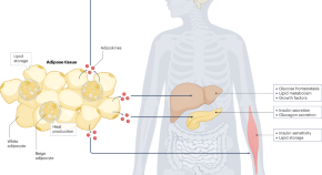 possible research topics in gastroenterology