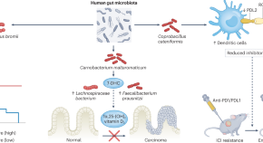 possible research topics in gastroenterology