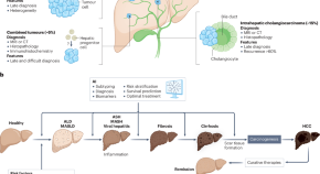 research about cancer of the liver
