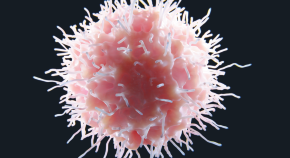 latest research on ms in israel latest research on ms in israel