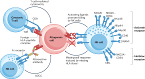 current research on cancer