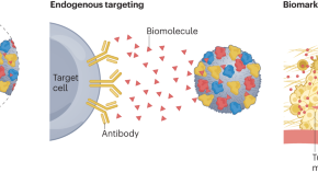 nanoparticles research topics