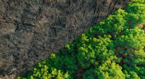 soil science research paper topics soil science research paper topics