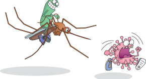 research paper on dengue fever research paper on dengue fever