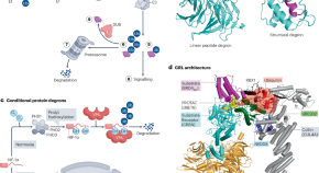 latest research about cancer