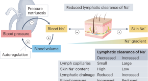 research project on hypertension