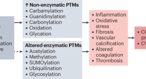 research papers for cardiovascular disease