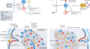 infectious disease research paper ideas