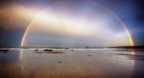 primary motor cortex research paper primary motor cortex research paper