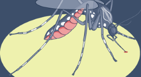 research paper on dengue fever research paper on dengue fever