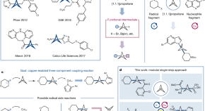 essay on nobel prize in chemistry