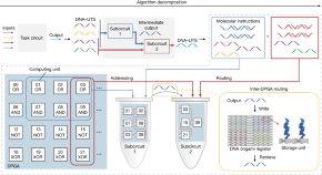 dna computing research papers pdf