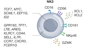 new research in cancer cell