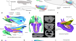 new research topics for mechanical