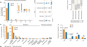 new research in cancer cell