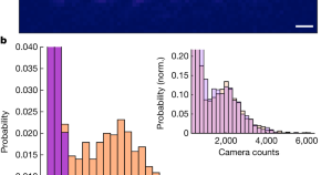 short research article example