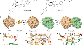 short research article example