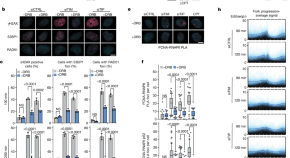 new research in cancer cell