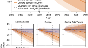 research report environmental health