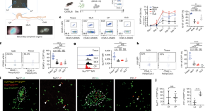 short research article example