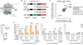 short research article example