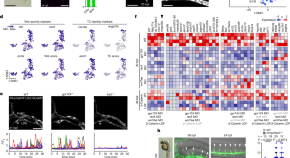 short research article example