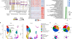 research for articles