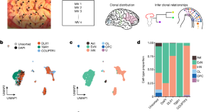 journal research article