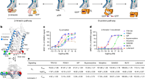 research for articles