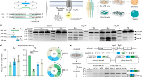 read research article