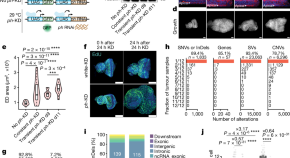 research on genetic memory