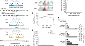 read research article