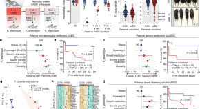 research on genetic memory