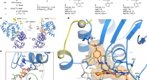 cancer research latest findings