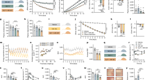 research findings on obesity and weight control