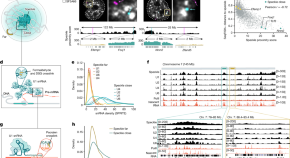 research article the