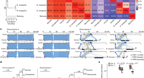 scientific research publishing journals