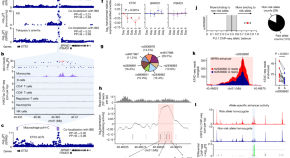 research journal front page