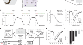 article in scientific research