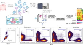 News & Views | Biotechnology