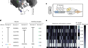 genetic engineering research paper