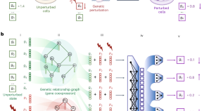 genetic engineering research paper