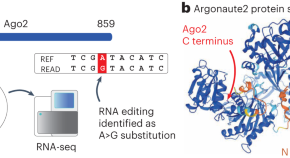 research paper in biotechnology research paper in biotechnology