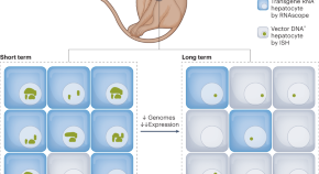 biotechnology dissertation 2023