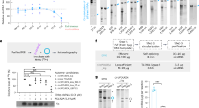 research article to