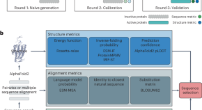 research article to