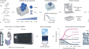 research article to