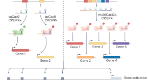 current research topics in biotechnology