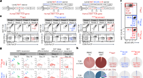 research article to